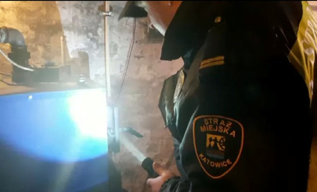 Katowicka straż miejska wykryła spalanie plastiku. Kolejny mandat za łamanie przepisów