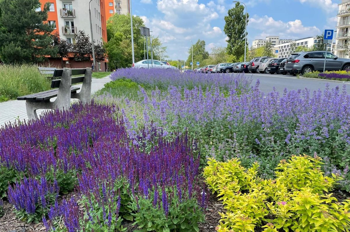 Zielony Budżet 2025 – zgłoś swój pomysł na zazielenienie miasta