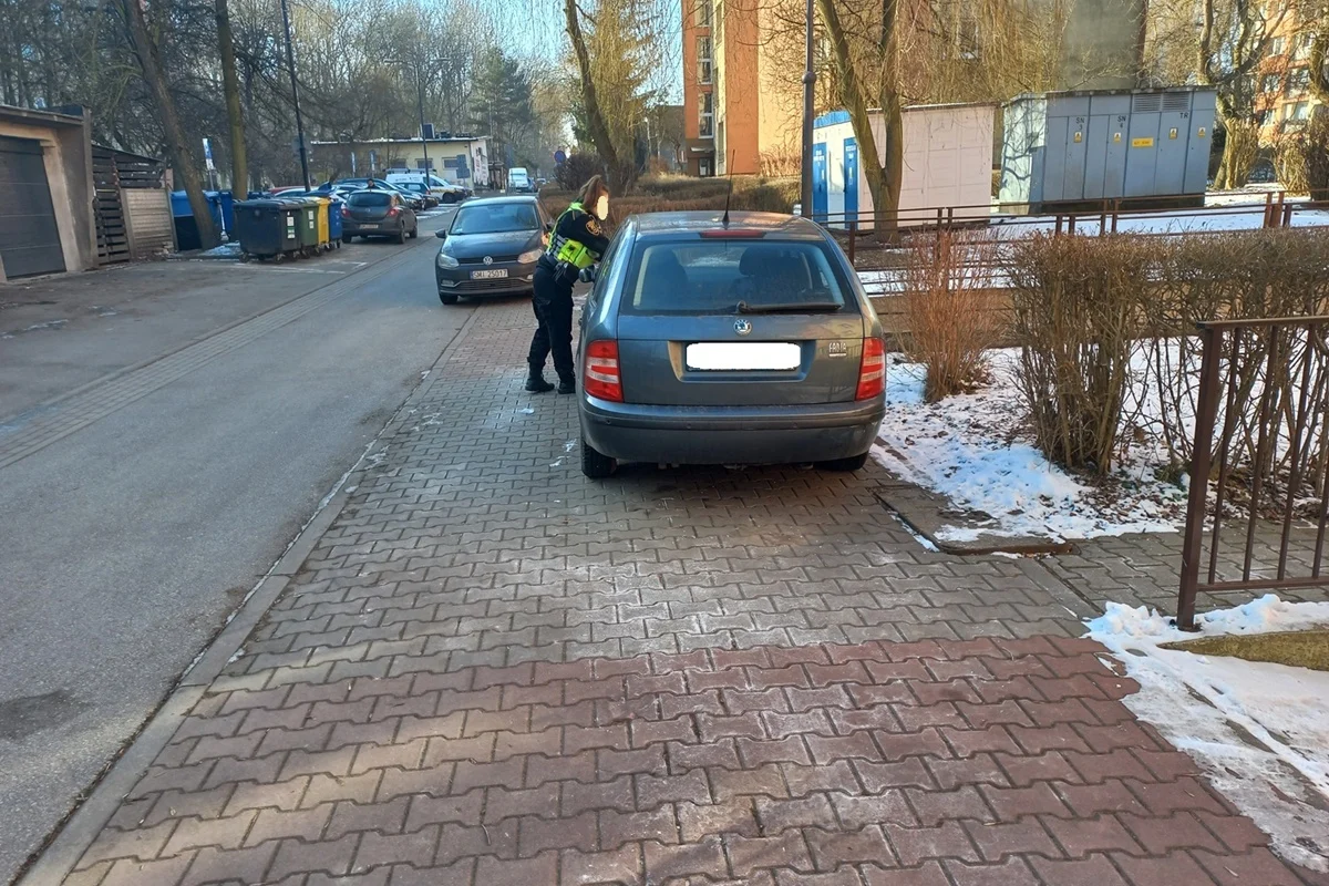 Wyzwanie parkowanie 43
