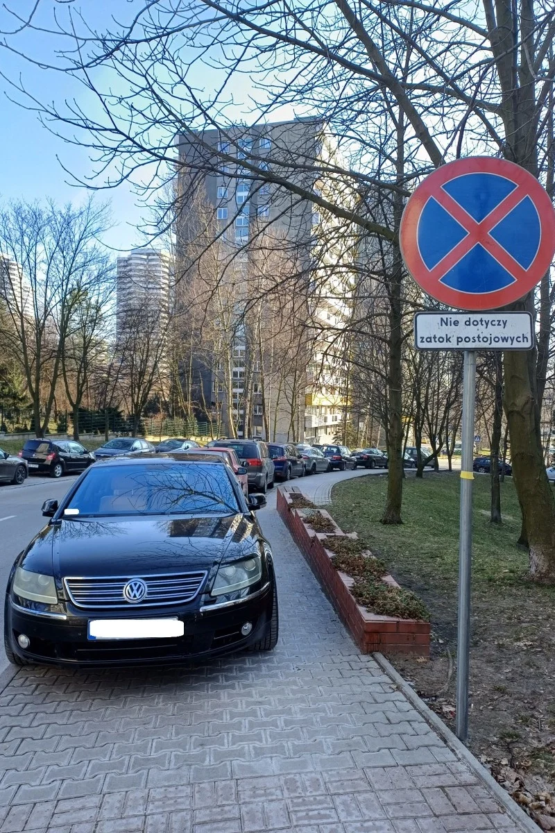 Wyzwanie parkowanie 51