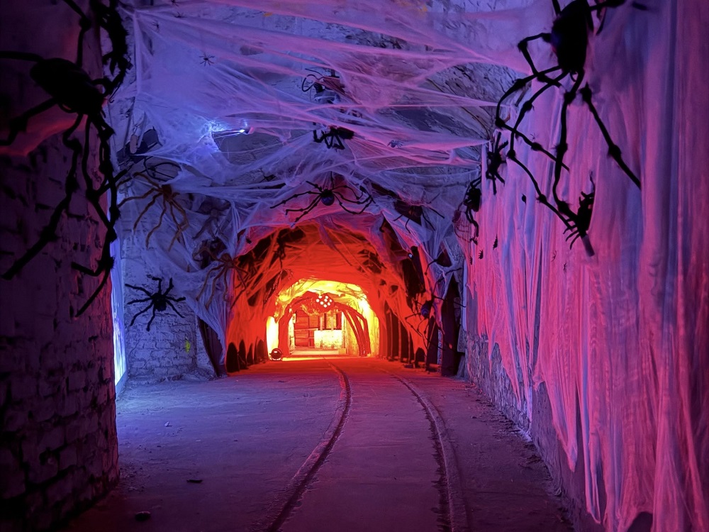 Magiczne ferie w Zabrzu – Zimowa Szkoła Magii czeka na czarodziejów!