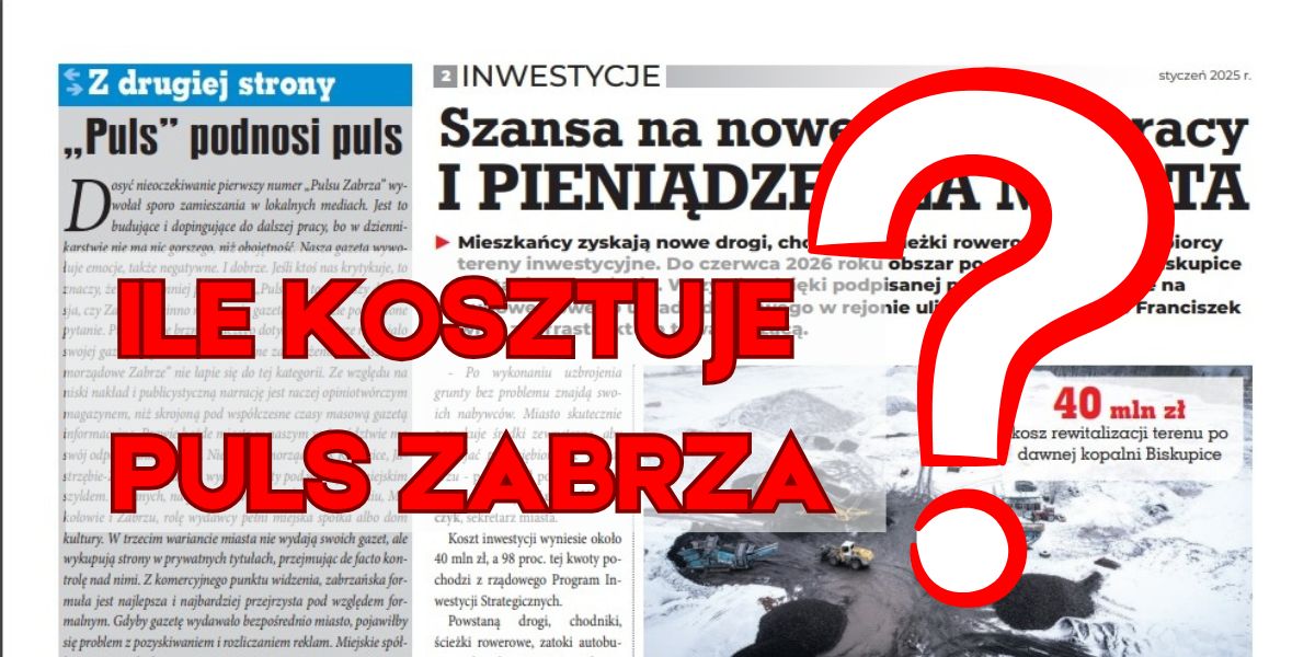 Ile kosztuje Puls Zabrza?