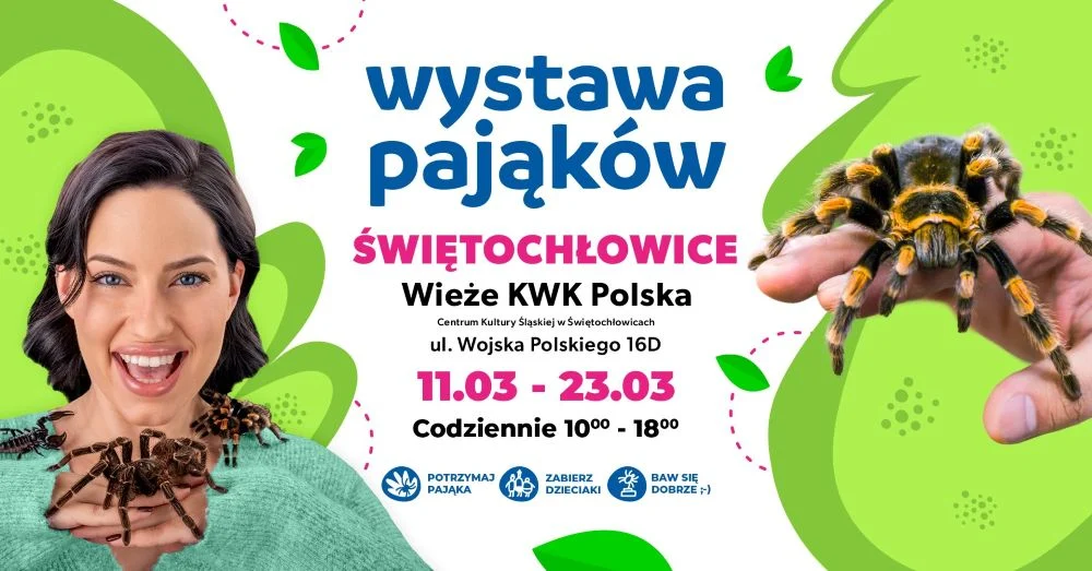Trwa Wystawa Pająków w Świętochłowicach! Odkryj fascynujący świat pajęczaków!