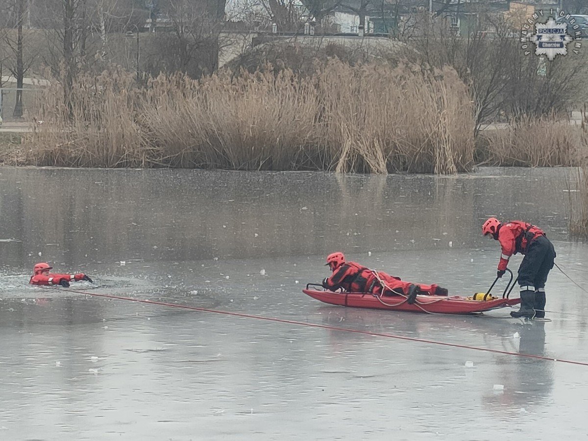 „Bezpieczne Ferie” – dzieci z Chorzowa uczyły się, jak unikać zagrożeń