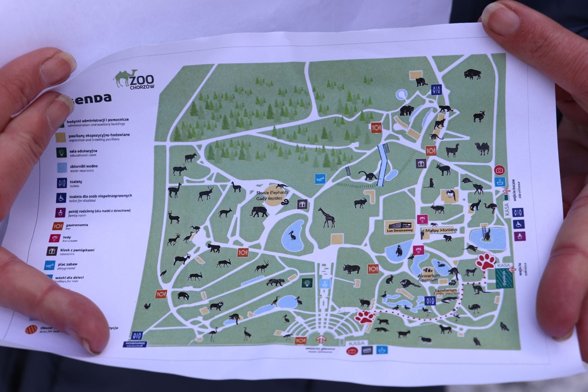 Dzień Kota w Śląskim ZOO 53