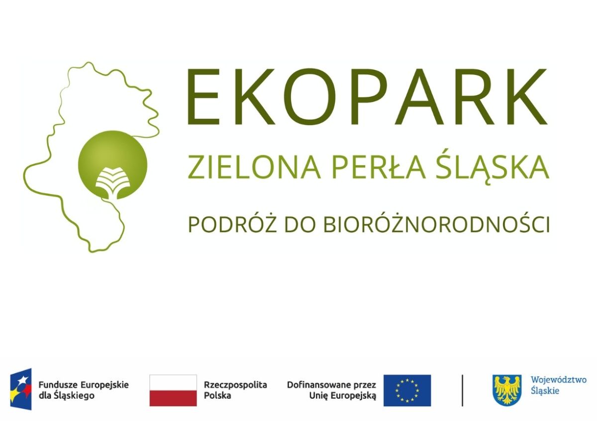 Park Śląski stawia na ekologię – rusza projekt „EKOPARK – zielona perła Śląska”