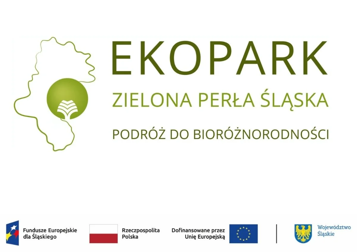 Park Śląski stawia na ekologię – rusza projekt „EKOPARK – zielona perła Śląska”