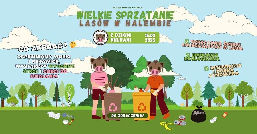 Przyjdź na wielkie sprzątanie lasu z harcerzami i Dzikimi Knurami!