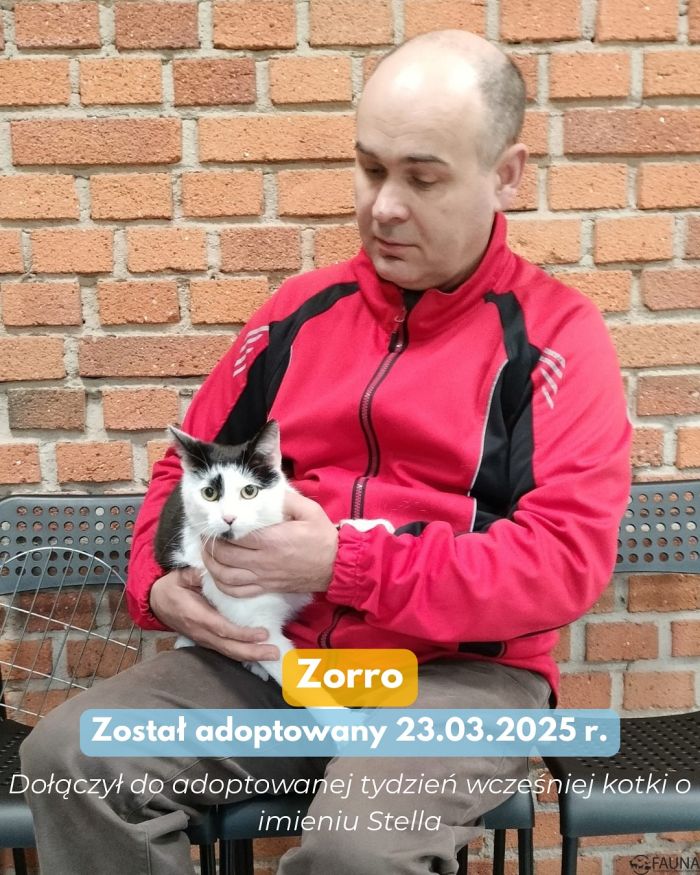 adopcje 5