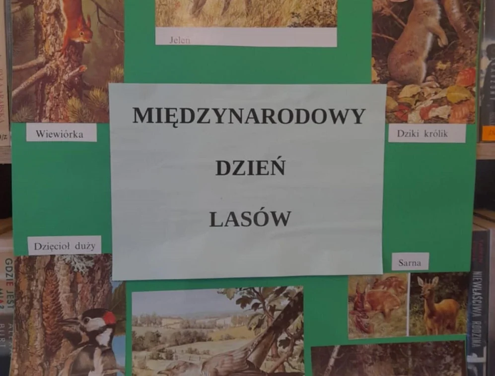 Międzynarodowy Dzień Lasów: Ekologiczne wydarzenie dla dzieci w Mysłowicach