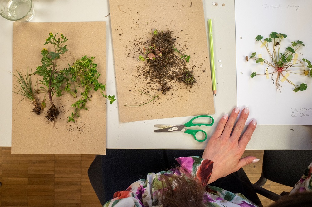 Nowy sezon w „Zegrōdce w kastlikach” – Ogrodnicza przygoda z mieszkańcami Tychów