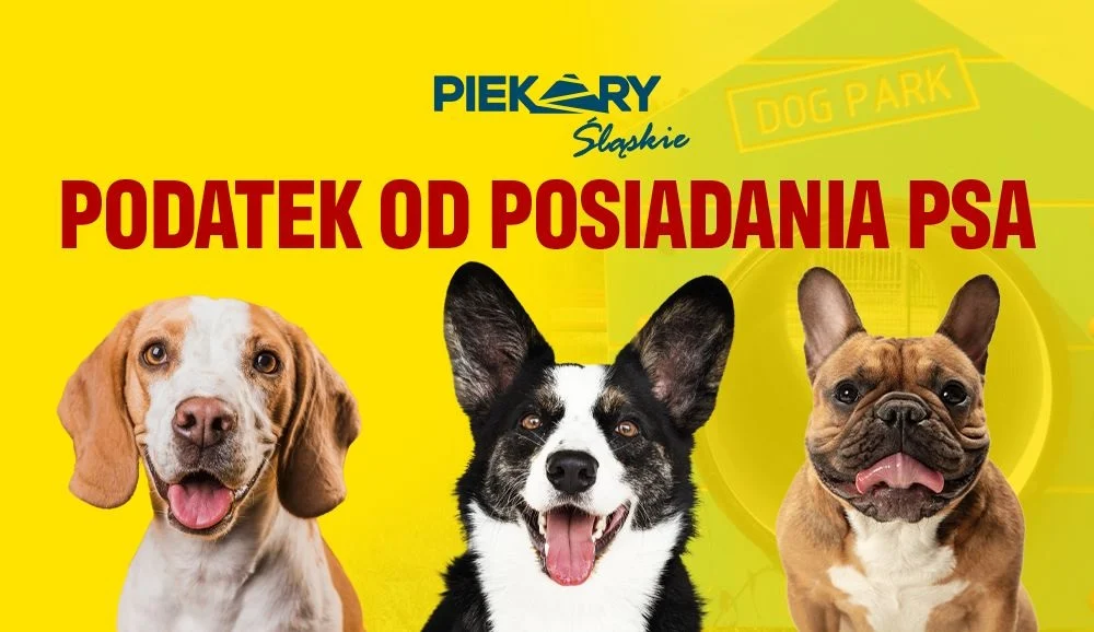 Zadbaj o swojego psa i opłać podatek na 2025 rok – termin do końca marca!