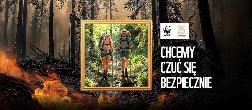 Godzina dla Ziemi w Rybniku: miasto wyłączy oświetlenie na godzinę