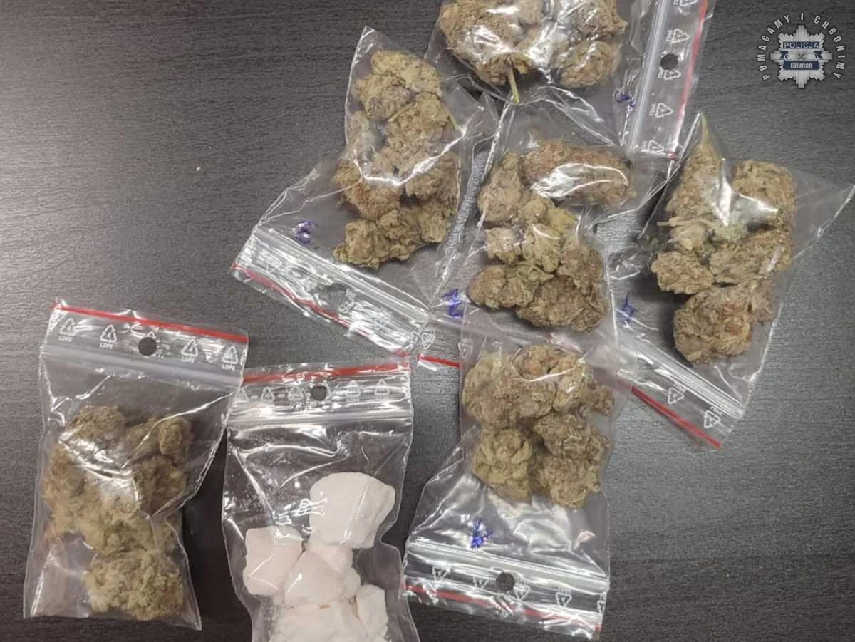 Kolejna osoba zatrzymana za posiadanie znacznych ilości narkotyków