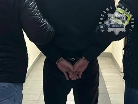 Gliwicka policja zatrzymała 14 osób poszukiwanych