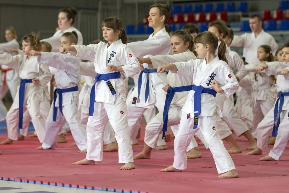 Karatecy przejmą Halę na Skarpie. Wielkie wydarzenie w Bytomiu!