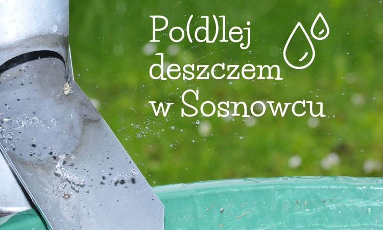 "Po(d)lej deszczem w Sosnowcu": od dziś można składać wnioski o dotacje celowe