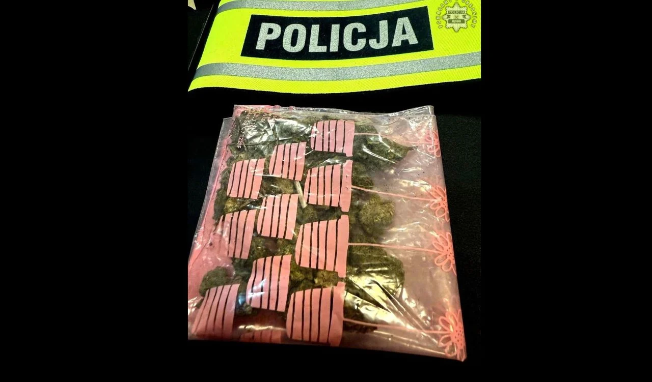 Zatrzymano 29-letniego bytomianina. Mężczyzna "wpadł" bo spacerował z marihuaną w dłoni