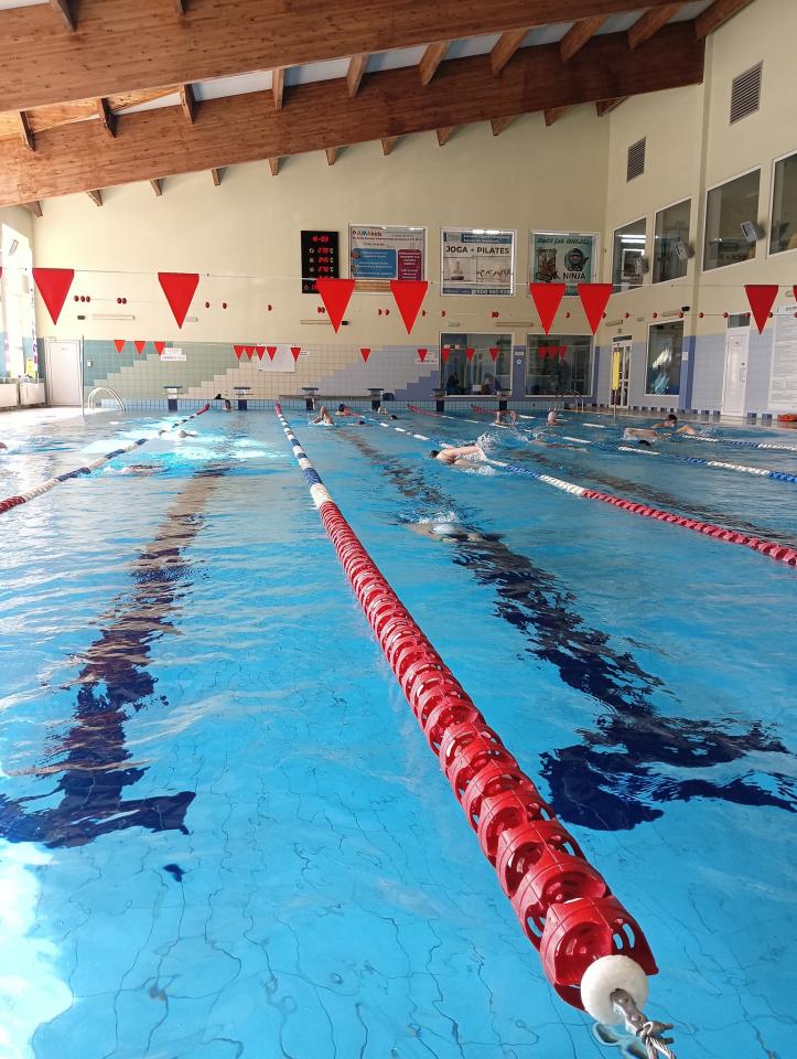 901 km w 24 godziny! XIII Mikołowski Maraton Pływacki zakończony rekordowym wynikiem. Sprawdź klasyfikację i poznaj najlepszych zawodników / fot. MOSiR Mikołów 21