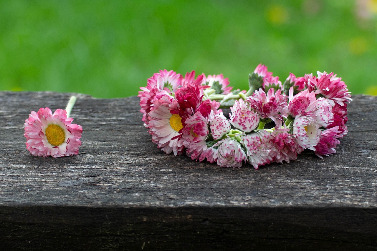 Legalne Wagary z SP 10 – powitaj wiosnę na Rynku!