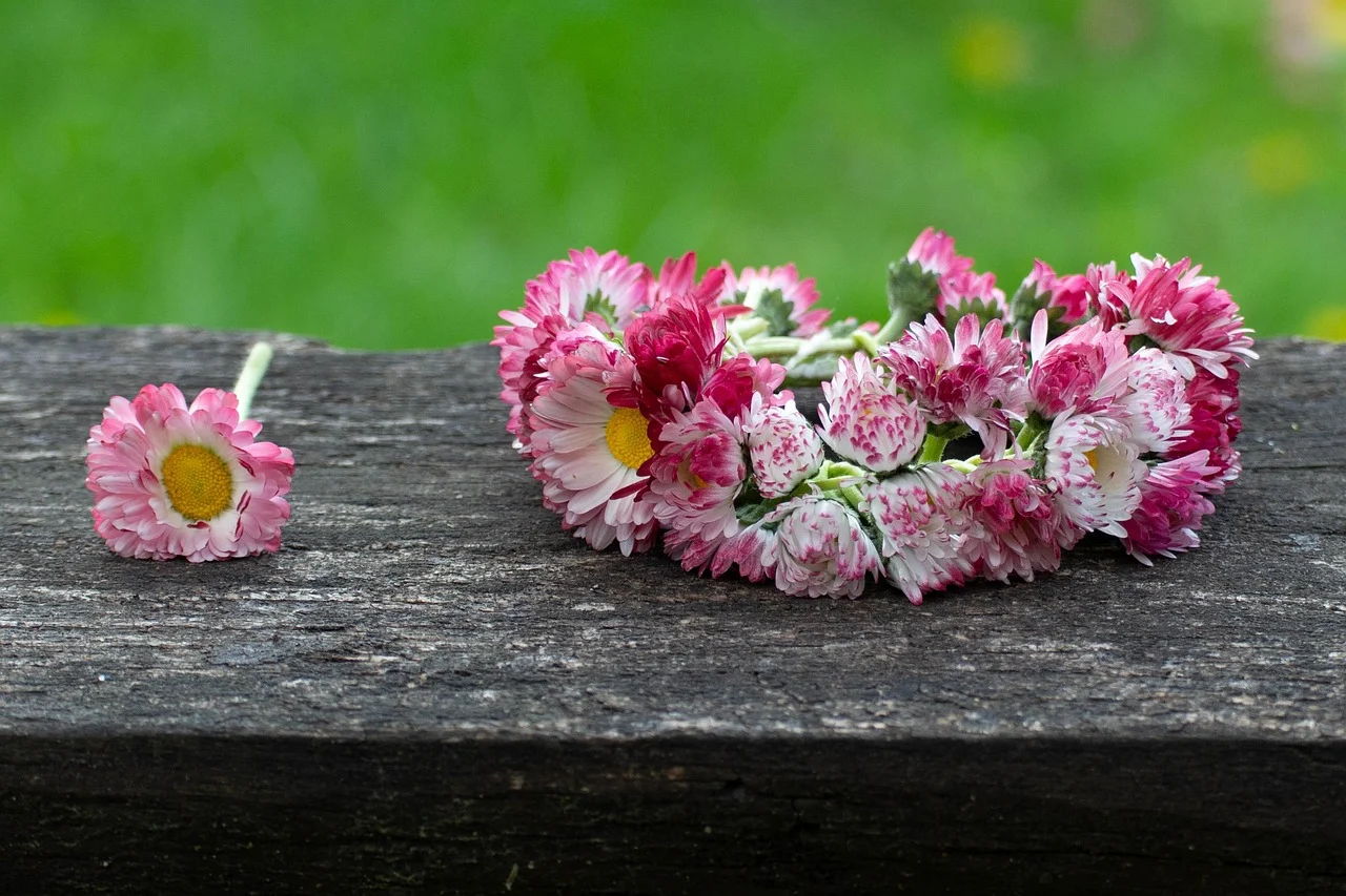 Legalne Wagary z SP 10 – powitaj wiosnę na Rynku!