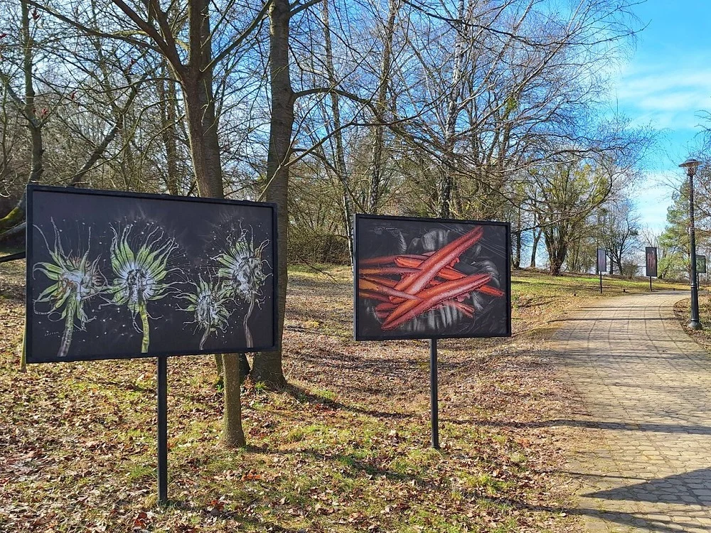 Odkryj "Theatrum Botanicum" w Śląskim Ogrodzie Botanicznym