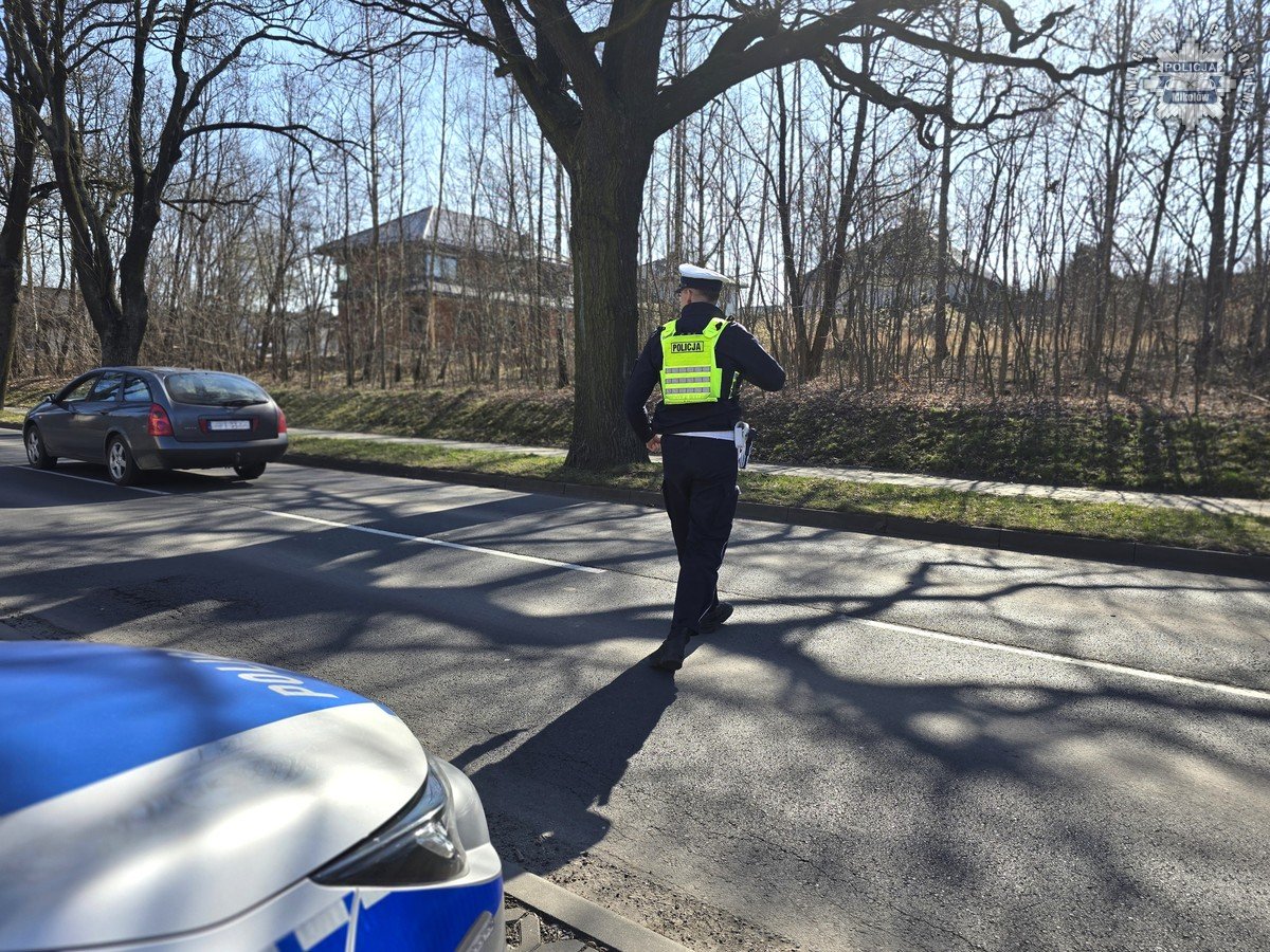„Bezpieczny pieszy” w Mikołowie. Policjanci ujawnili 42 wykroczenia