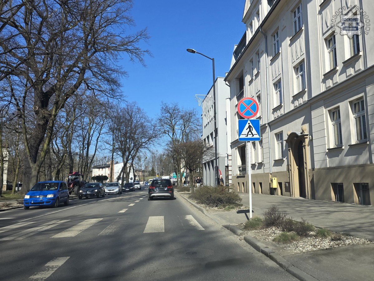 „Bezpieczny pieszy” w Mikołowie. Policjanci ujawnili 42 wykroczenia