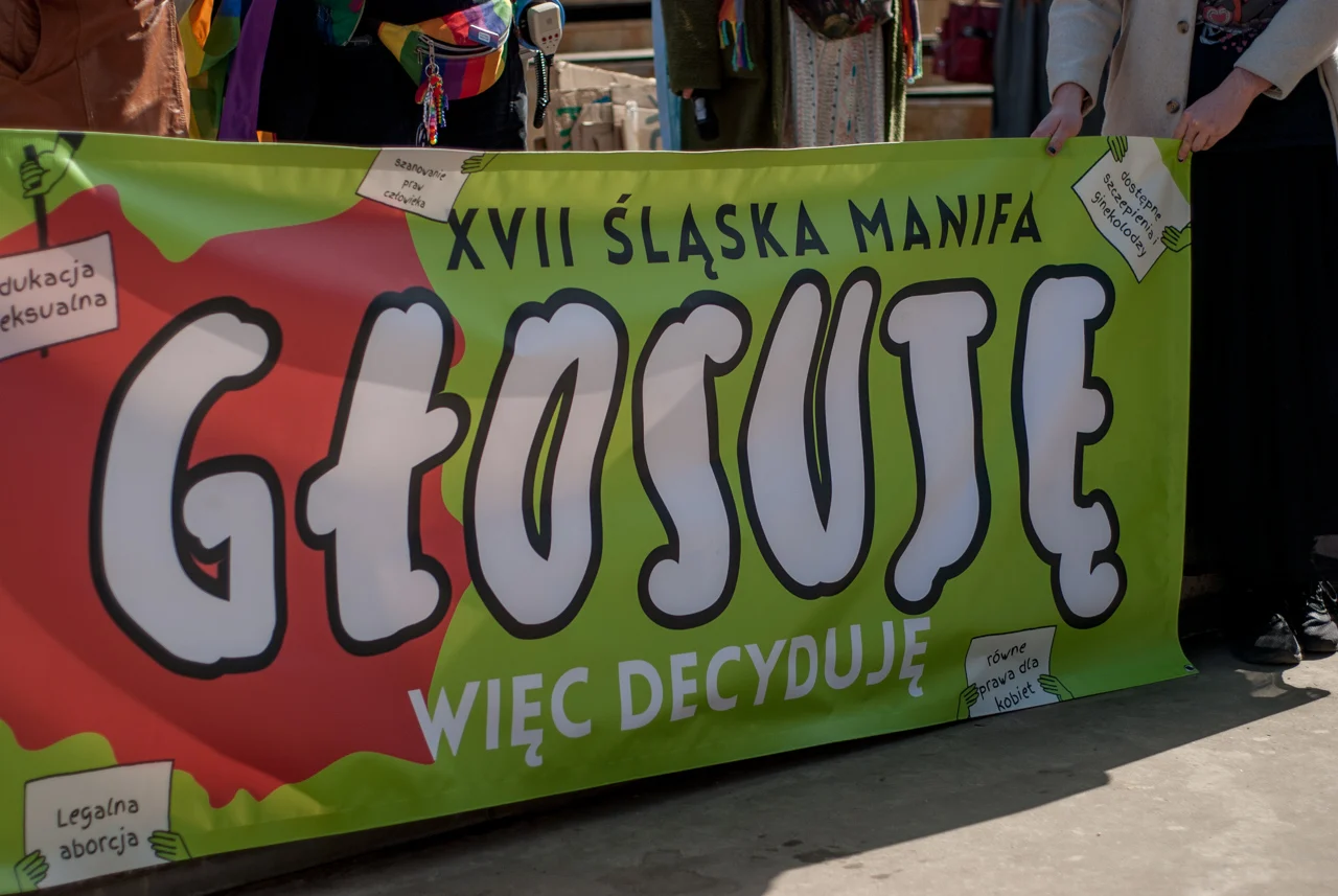 XVII Śląska Manifa w Katowicach 7