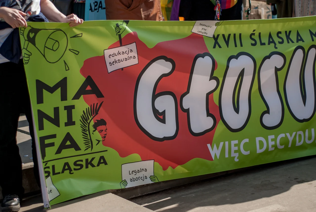 XVII Śląska Manifa w Katowicach 8