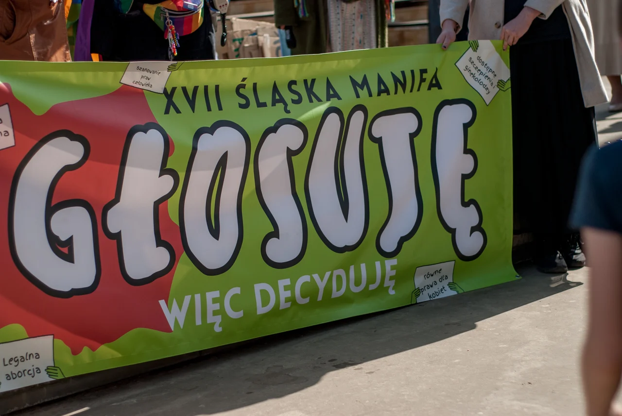 XVII Śląska Manifa w Katowicach 9
