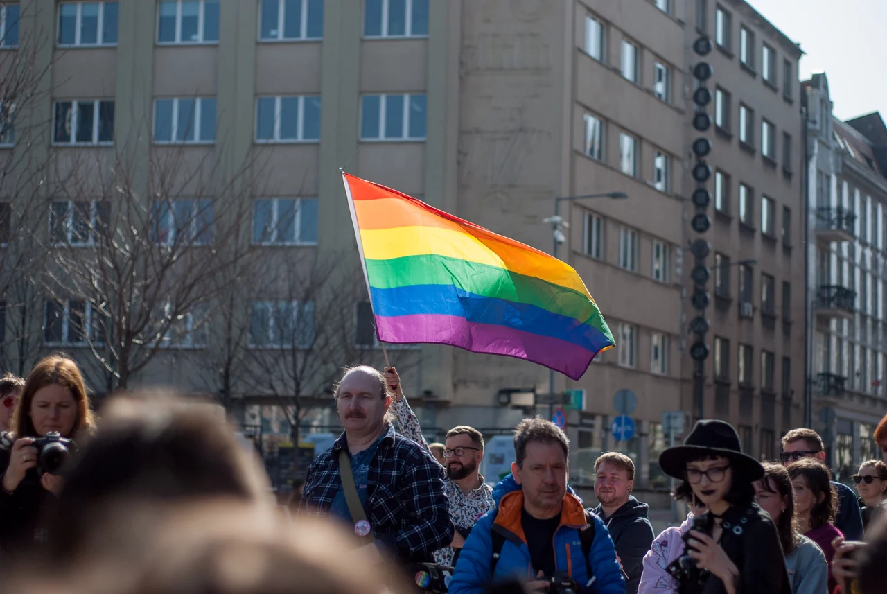 XVII Śląska Manifa w Katowicach 77