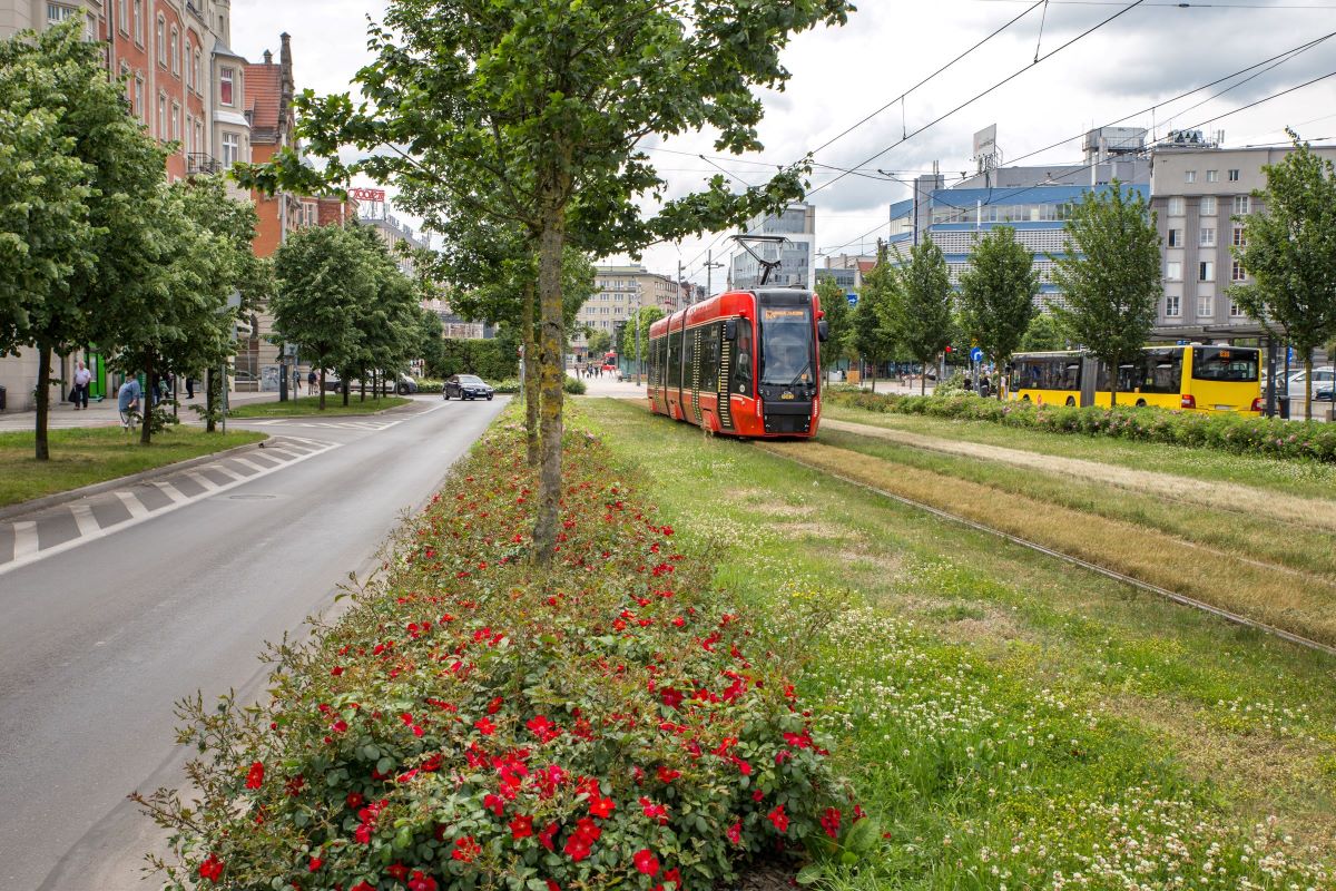 Katowice dofinansują przydomową retencję. Nawet 5 tys. zł na zbiornik!