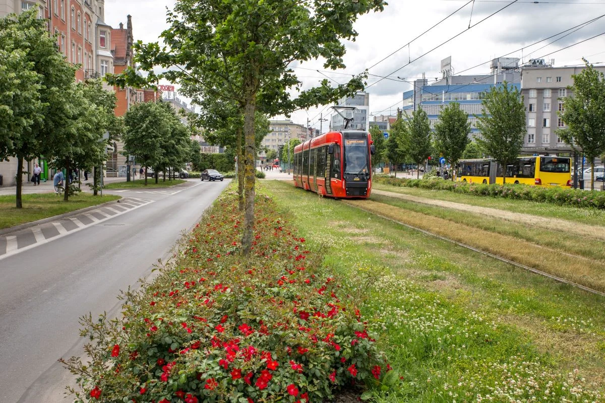 Katowice dofinansują przydomową retencję. Nawet 5 tys. zł na zbiornik!