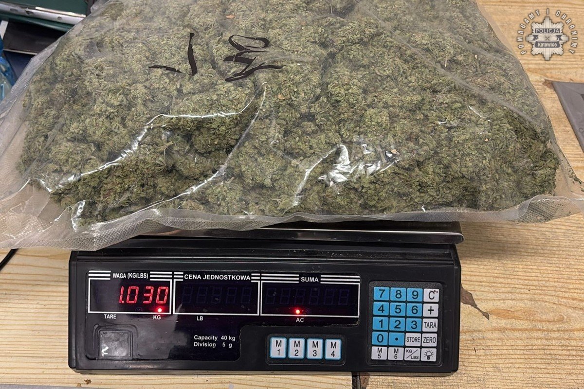 Policja uderza w pseudokibiców! Zatrzymano 31-latka z narkotykami