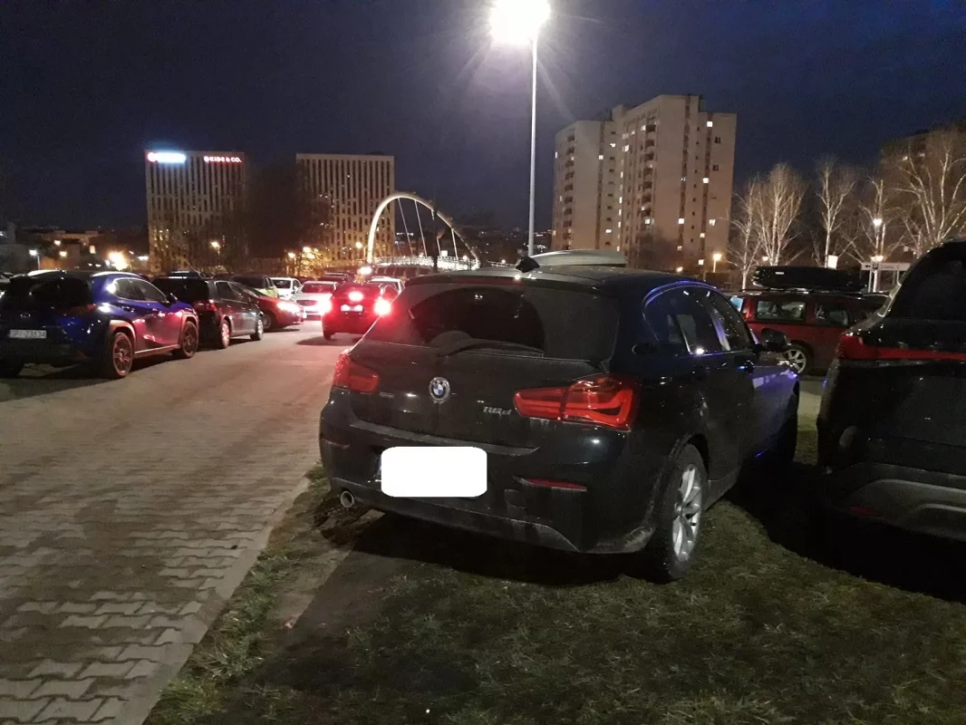 Zablokowane chodniki, zniszczona zieleń. Katowicka Straż Miejska interweniowała 490 razy!