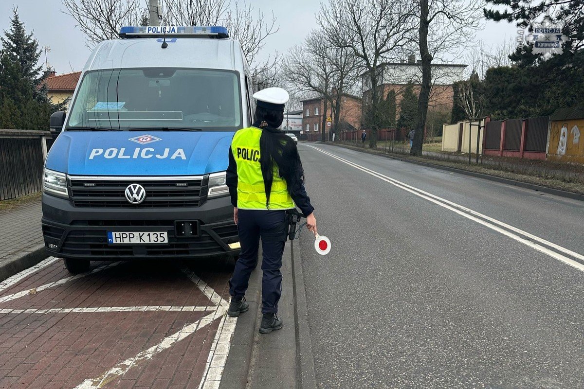 "Bezpieczny pieszy". Policyjne działania z dronem na przejściu dla pieszych