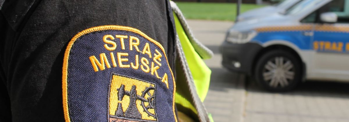 Strażnicy miejscy ratują kobietę, która wpadła do koryta Rawy na katowickim rynku!