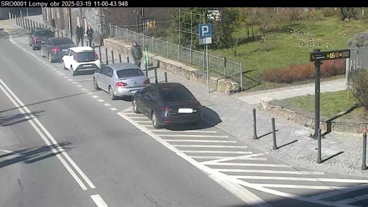 Nieprawidłowe parkowanie w Katowicach. Ponad 500 interwencji w jeden tydzień! 17