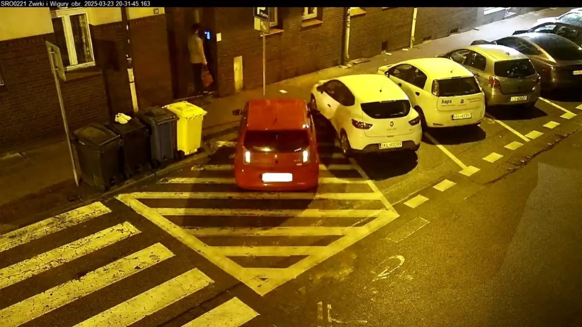 Nieprawidłowe parkowanie w Katowicach. Ponad 500 interwencji w jeden tydzień! 21