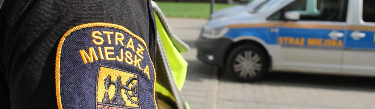 Nieprawidłowe parkowanie w Katowicach. Ponad 500 interwencji w jeden tydzień!