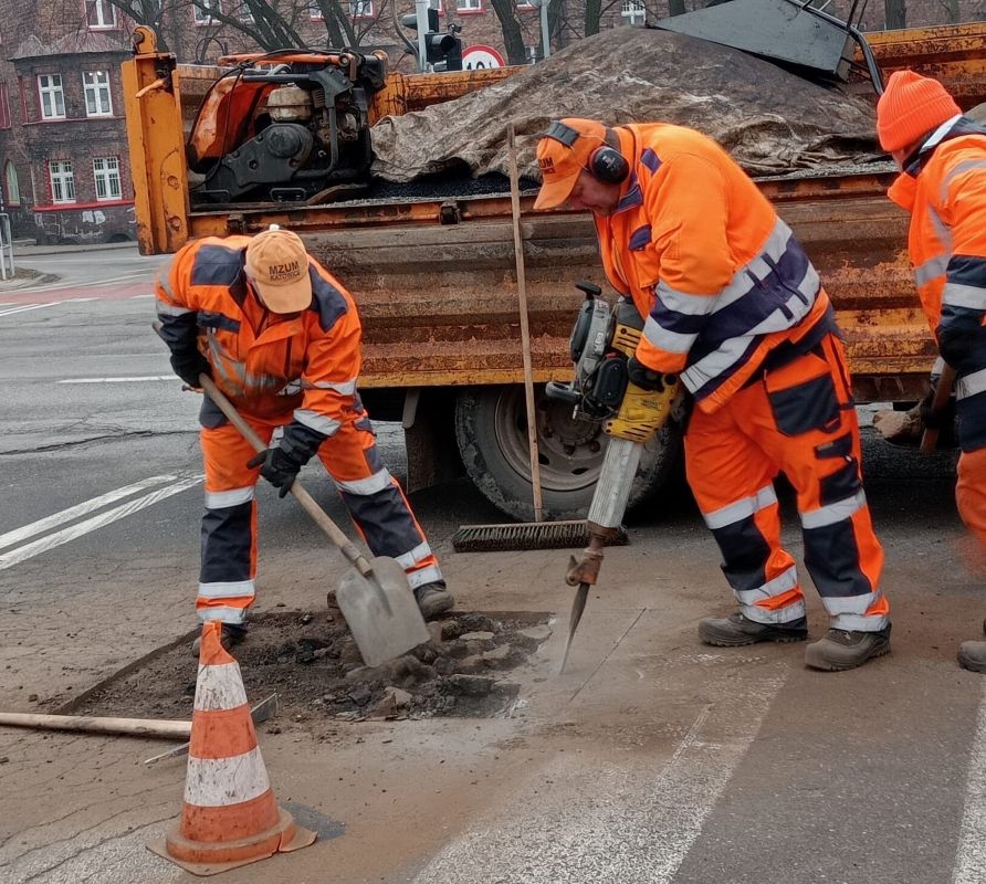 Katowice sprzątają po zimie. Sadzenie drzew, koszenie trawy i naprawy
