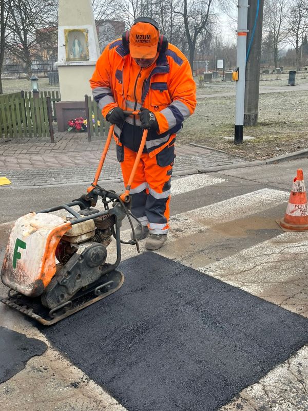 Katowice sprzątają po zimie. Sadzenie drzew, koszenie trawy i naprawy