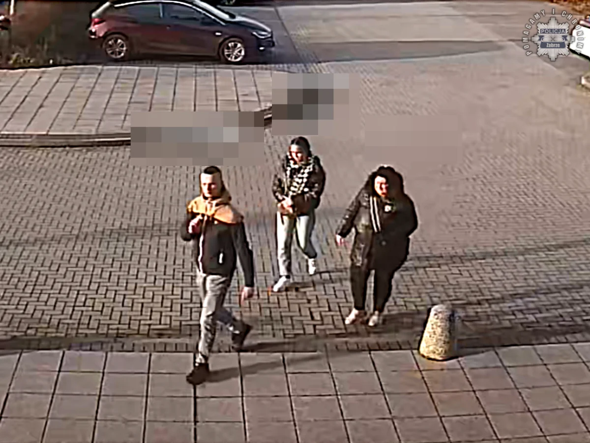 Zabrze: Uszkodził zaparkowane auto i uciekł. Policja szuka sprawcy