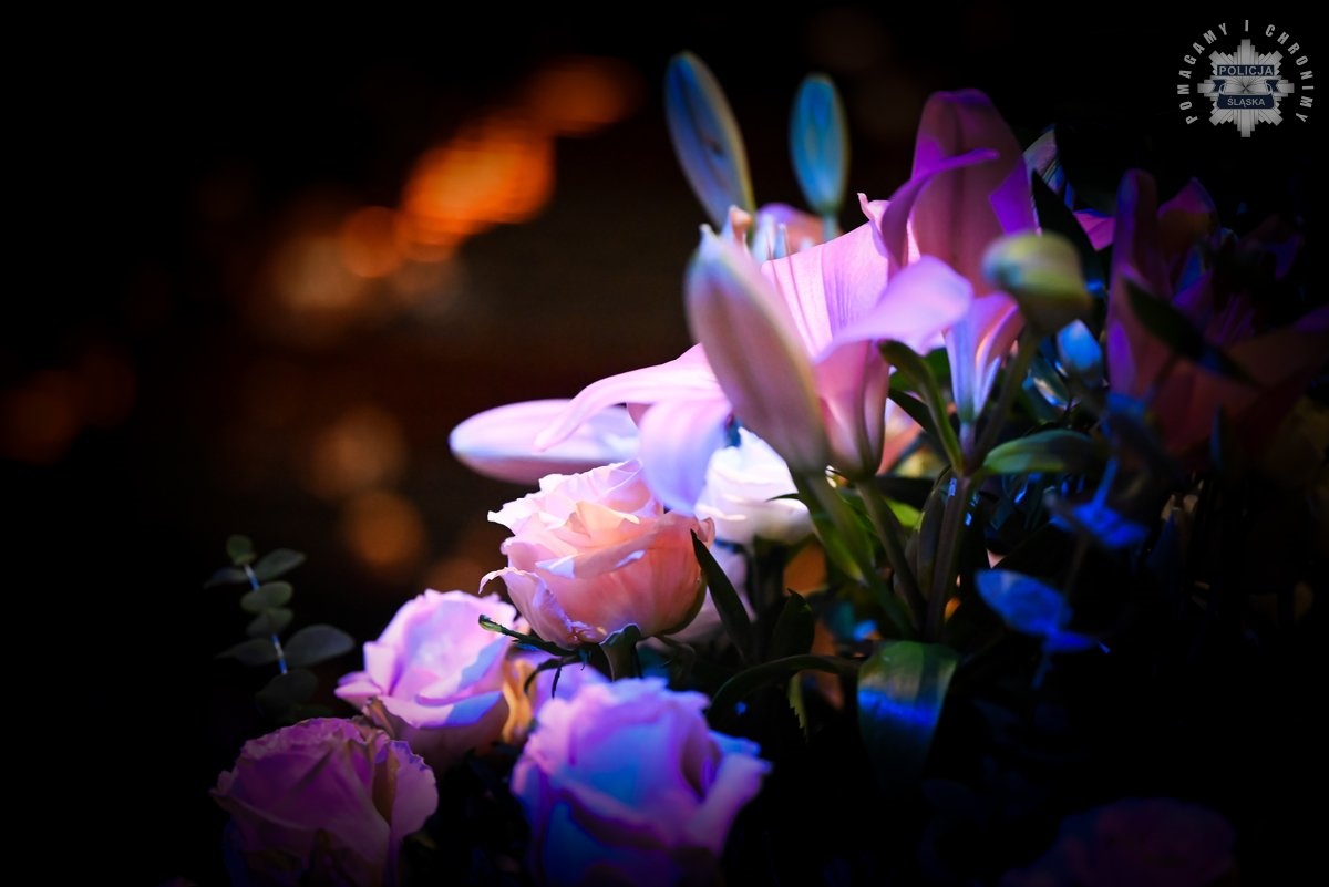 Uroczysty koncert w NOSPR „Policja jest Kobietą” 7