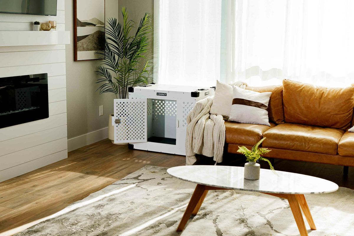 Salon na każdą okazję. Jak stworzyć przestrzeń idealną do relaksu i spotkań?