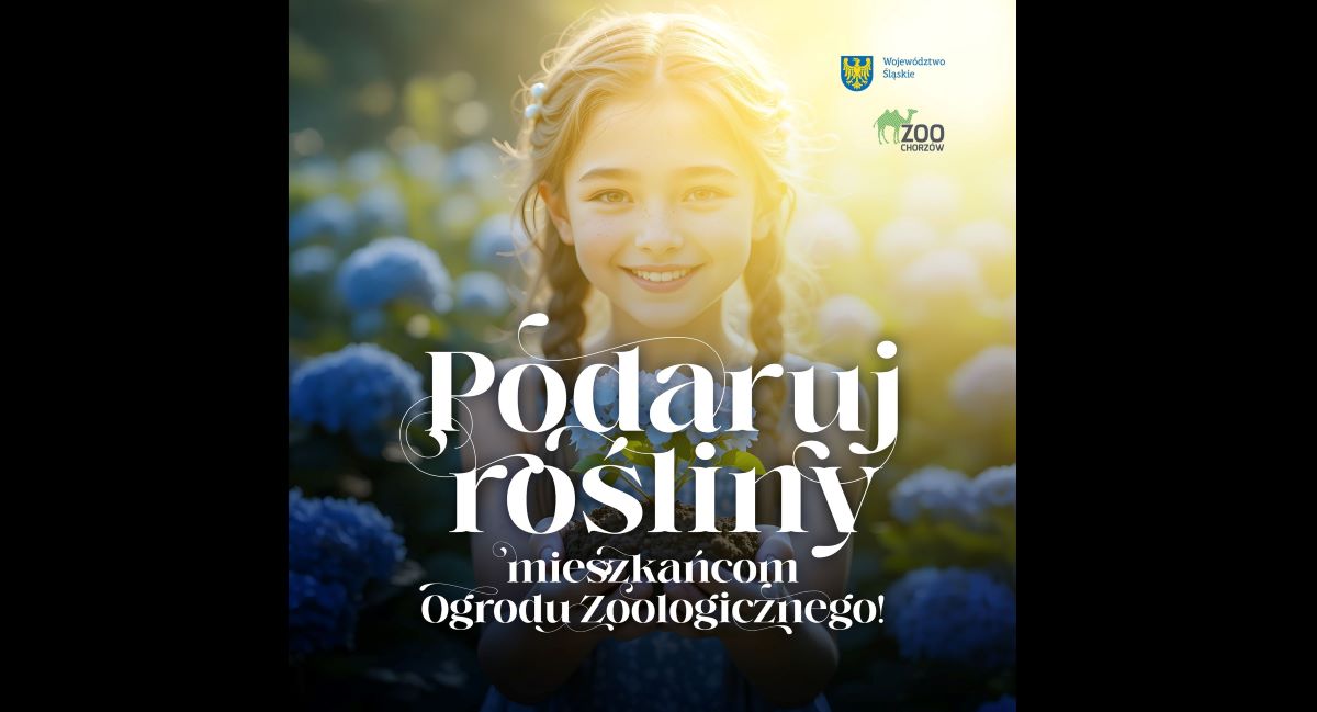 Pomóż Chorzowskiemu ZOO zwiększyć zieloną przestrzeń – podaruj rośliny!