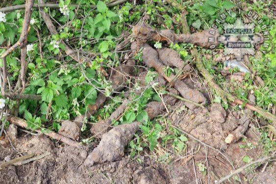 8 pocisków z czasów II Wojny Światowej znalezionych w Mysłowicach