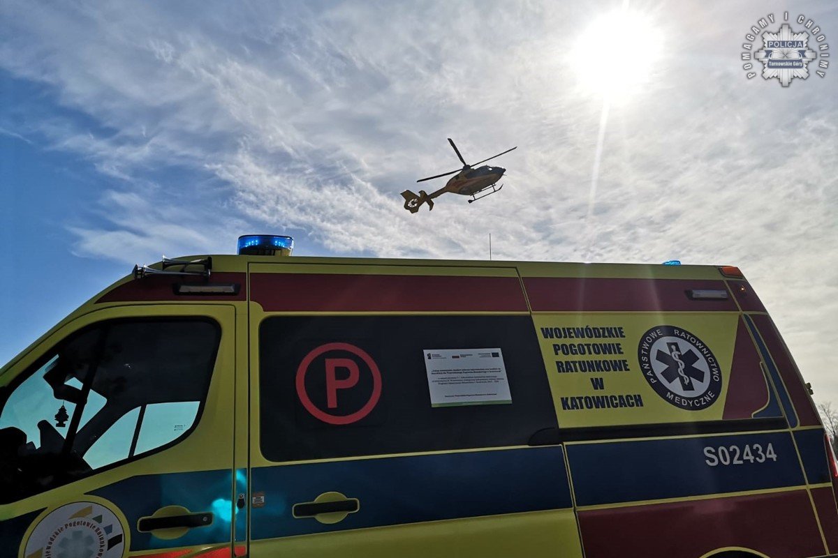 14-latek przygnieciony przez konar drzewa w Miasteczku Śląskim. Chłopiec trafił do szpitala