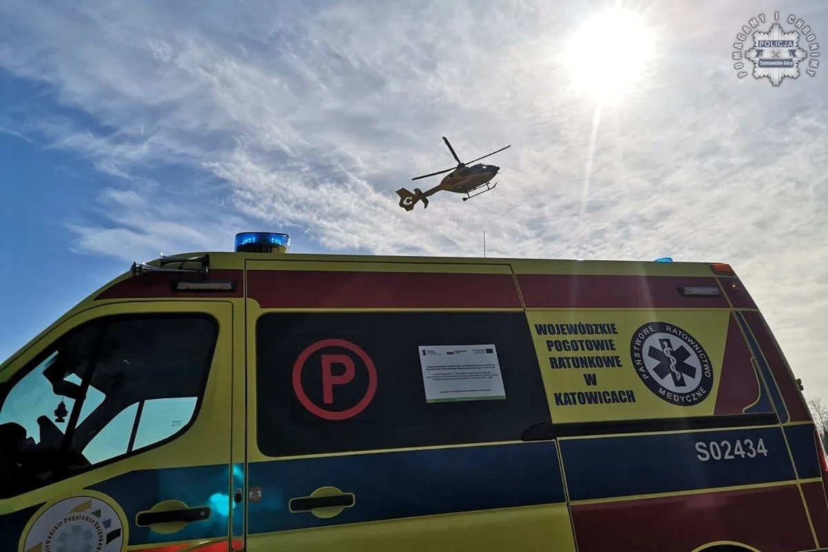 14-latek przygnieciony przez konar drzewa w Miasteczku Śląskim. Chłopiec trafił do szpitala